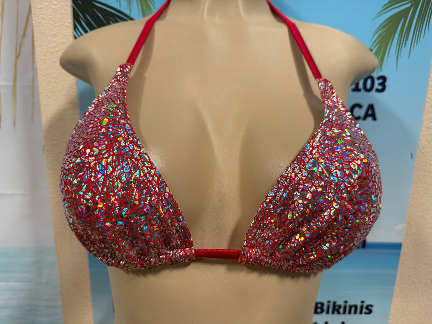 Lyla Triangle Top Red Silver Stained Glass