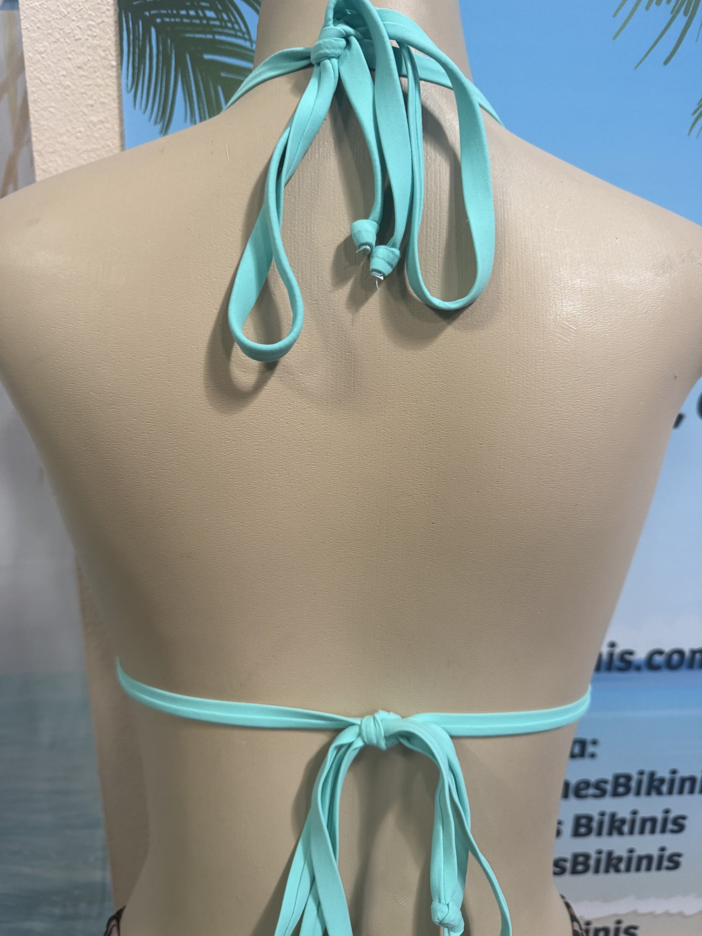 Lyla Triangle Top in Jaguar Mint