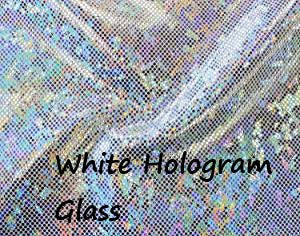 South Beach Bottoms White Hologram