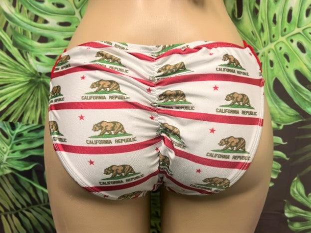 SALE Paradise Bikini Bottoms California Flag